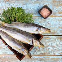 Судак вяленый