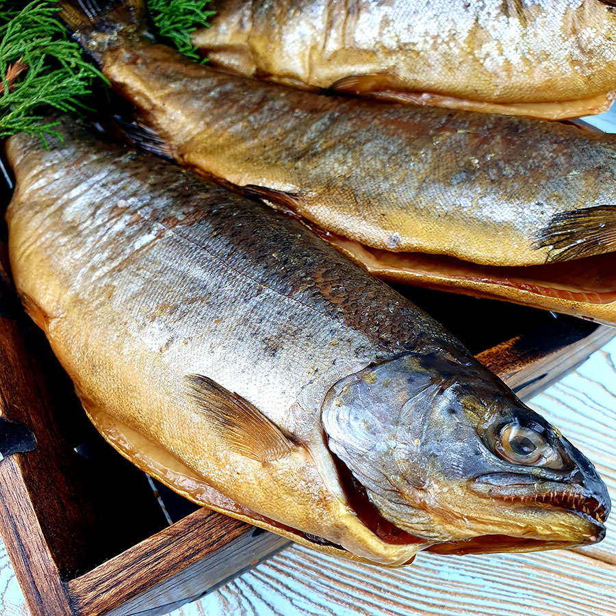 Форель радужная потрошеная Х/К