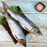 Сиг молочный (Омуль) вяленый