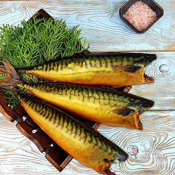 Скумбрия 600+ Х/К