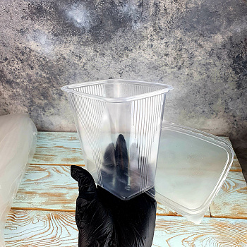 Контейнер с крышкой 500 гр. (100 шт.)