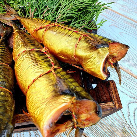 Скумбрия 500+ Г/К